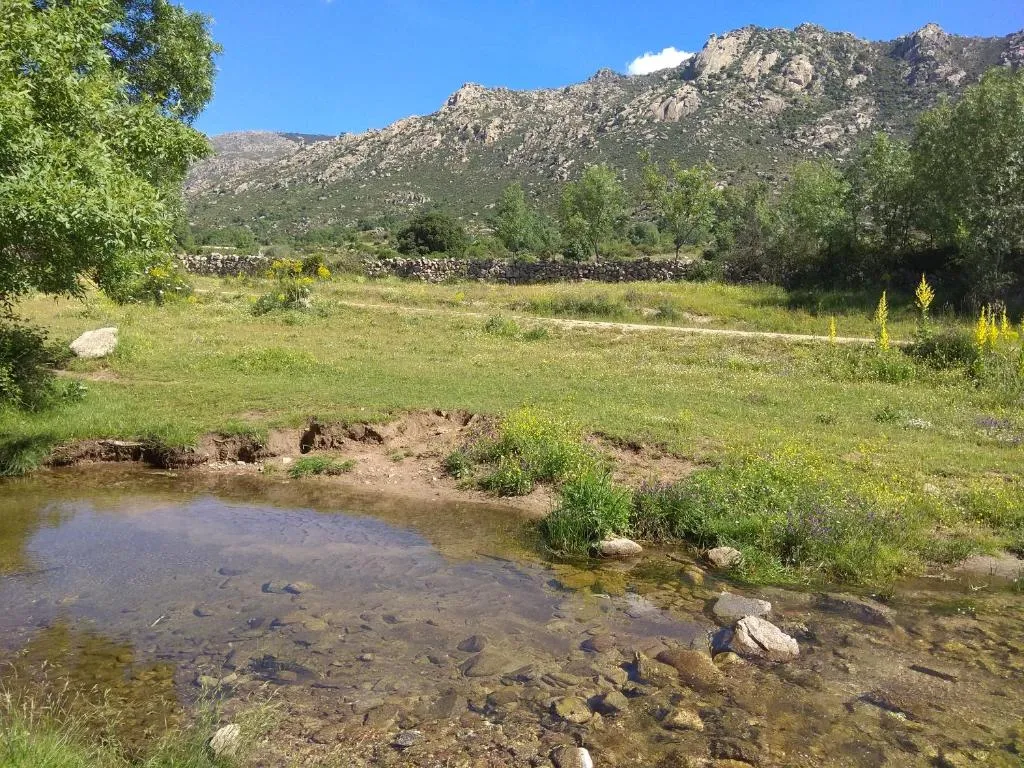 Imagen 4 de Acogedora casa rural en la sierra de Madrid