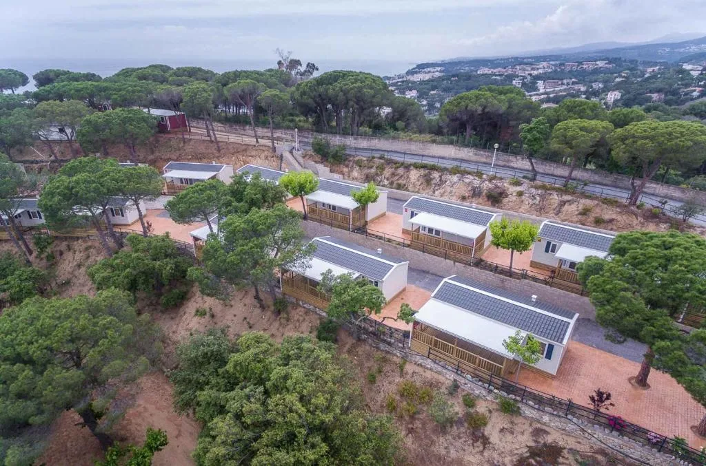 Imagen 5 de Holiday home in Calella de la Costa 3641
