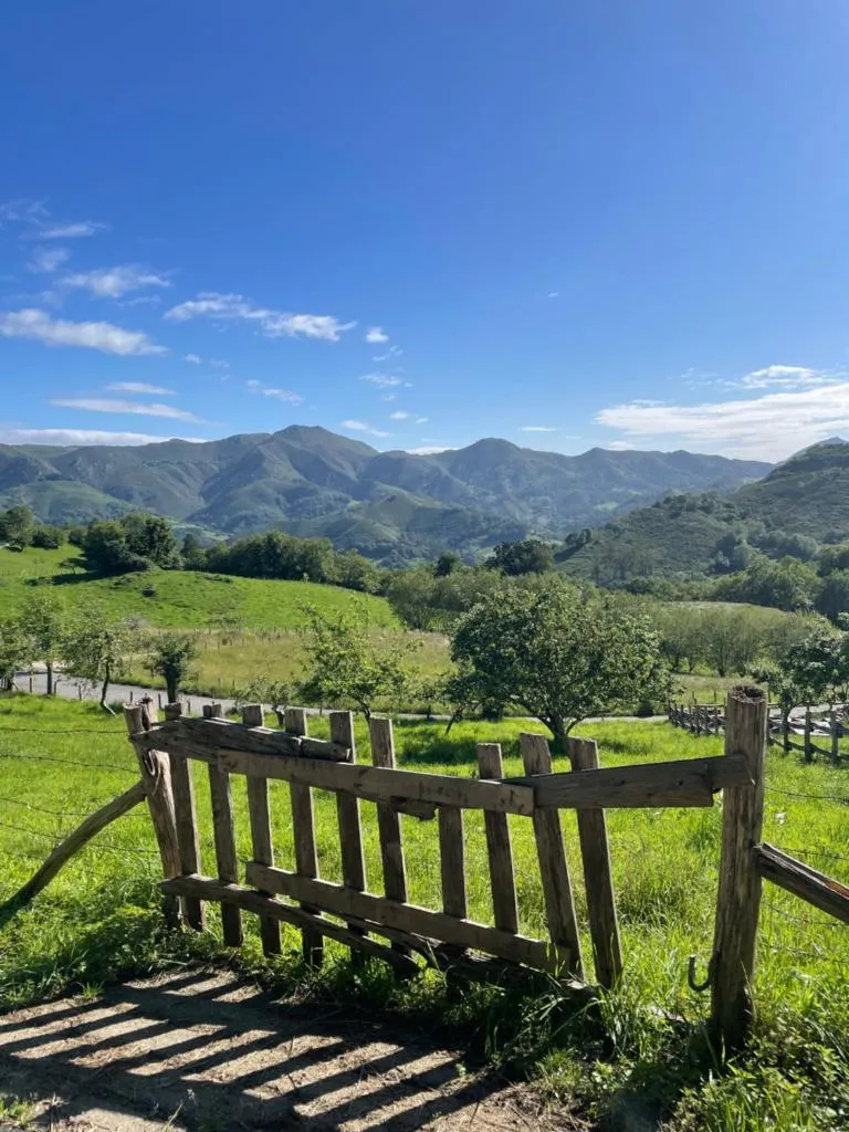 Imagen 7 de La Ventana de Picos