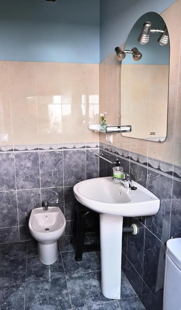 Imagen 6 de Apartamentos Aires De Avin - Onis