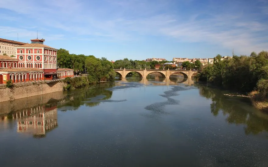 Viajar con perros a Logroño