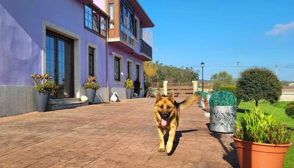 Imagen 5 de AG Casa de Aldea Laxe con jardín y playa a 7km