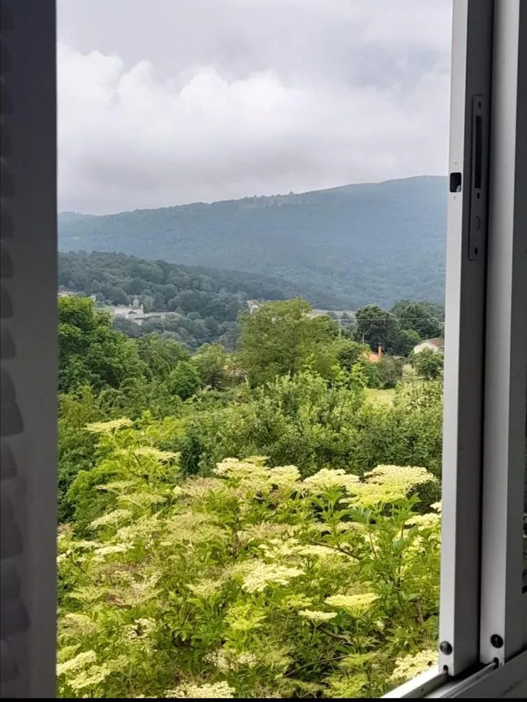 Imagen 4 de A CASA DOS AVÓS