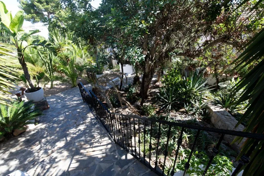 Imagen 5 de Buenavista & Suites
