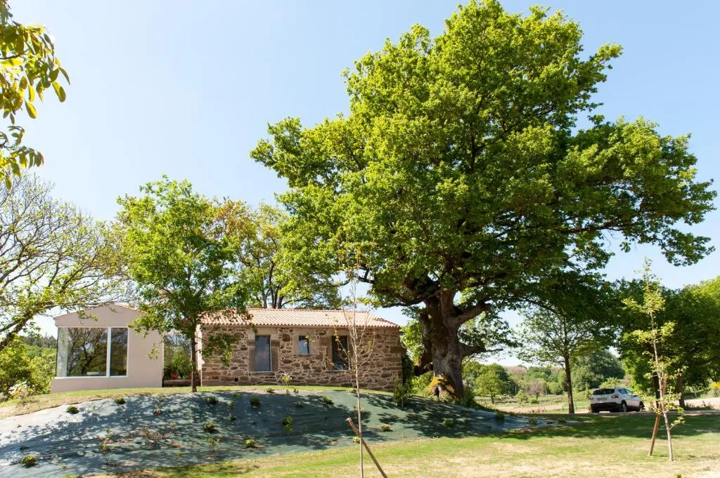 Imagen 1 de Casa das Landras