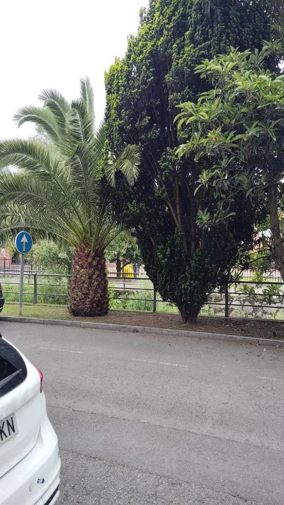 Imagen 4 de El Caudalin de Mieres