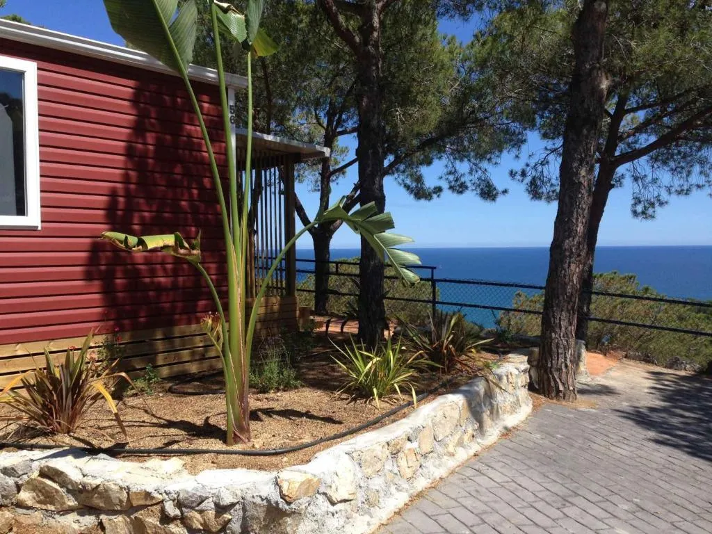 Imagen 6 de Holiday home in Calella de la Costa 3641