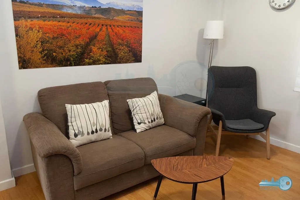 Imagen 4 de Piso centrico y moderno en Logroño Vivienda de uso Turistico