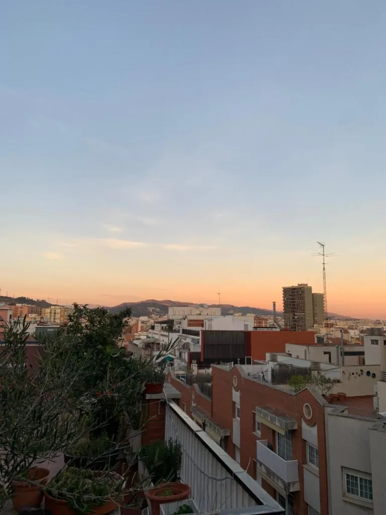 Imagen 8 de Ático con encanto