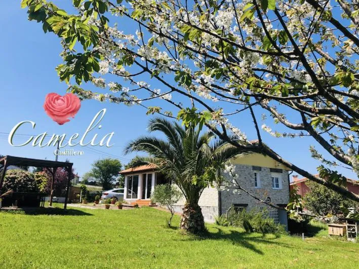 Imagen 1 de CAMELIA Casina Rural