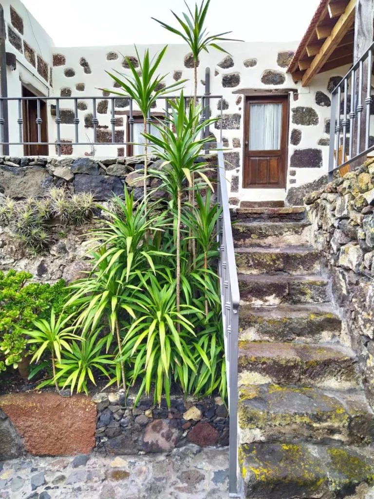 Imagen 8 de Casa Bermeja