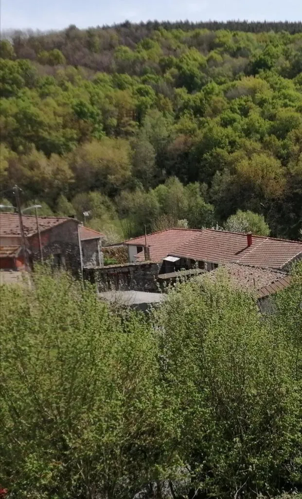 Imagen 2 de A CASA DOS AVÓS