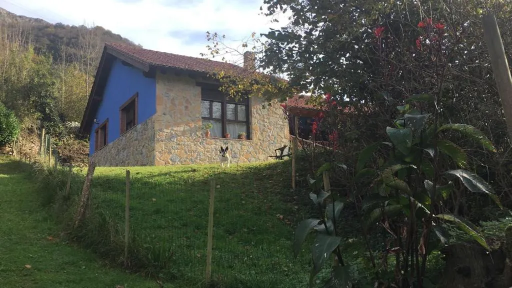 Imagen 5 de Casa Trasgu de Tornín-Cangas de Onís- Enjoy life in Asturias