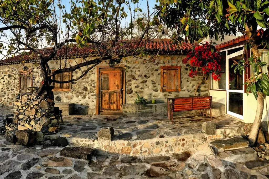 Imagen de holiday home, Tijarafe