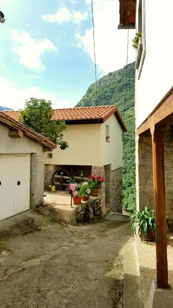 Imagen 1 de La Casina de Toñita
