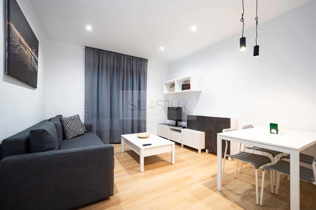 Imagen 2 de Asturches Apartamento