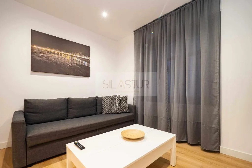 Imagen 8 de Asturches Apartamento