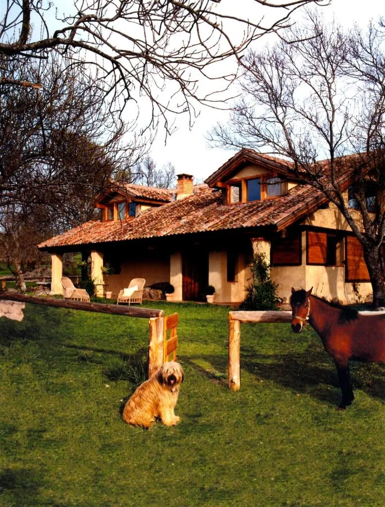 Imagen 2 de Las Casas del Palomar I & II