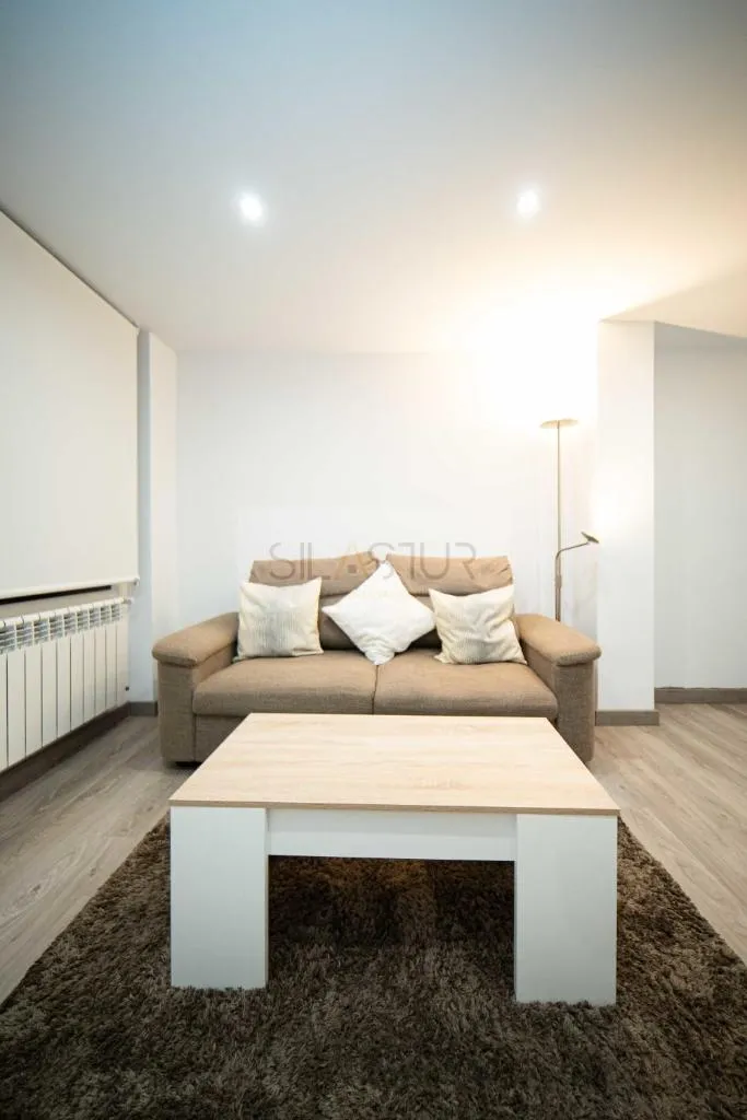 Imagen 7 de Gascona Apartamento