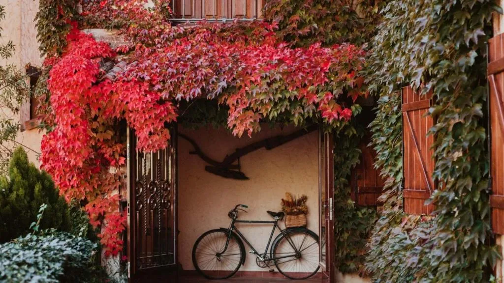 Imagen de Hospedería del Valle Boutique Apartments