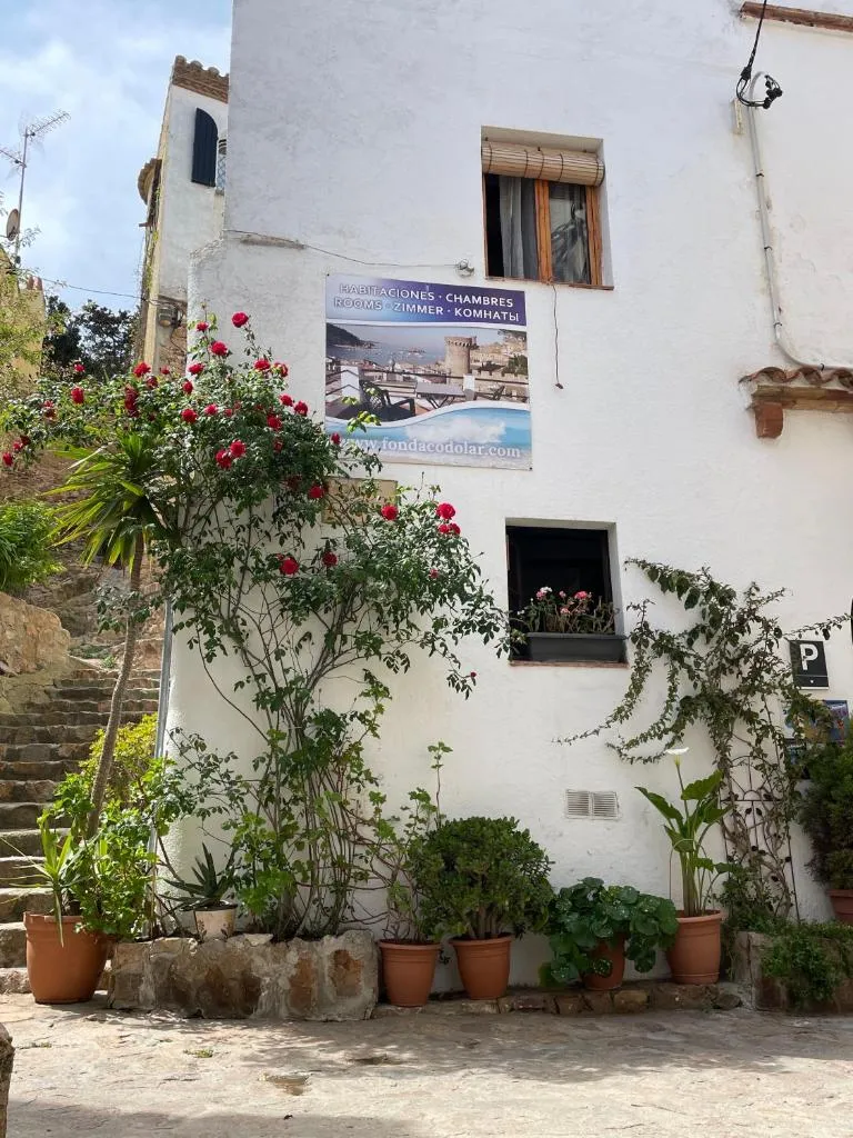 Imagen 2 de P&R hostals Codolar