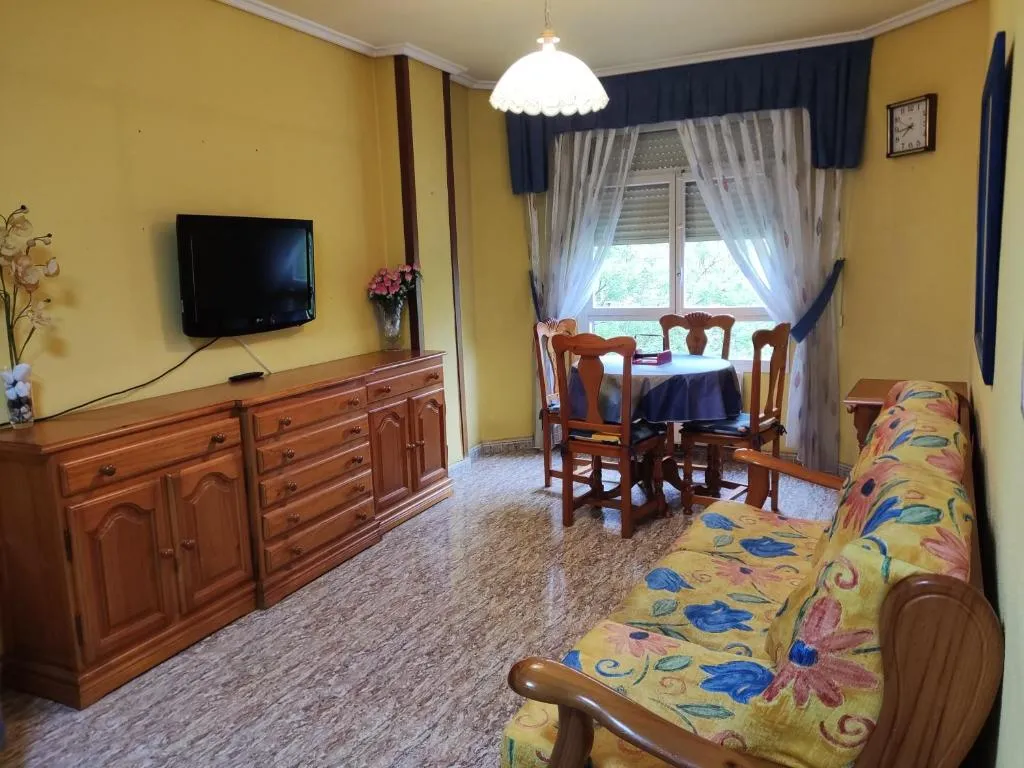 Imagen 1 de apartamento centro
