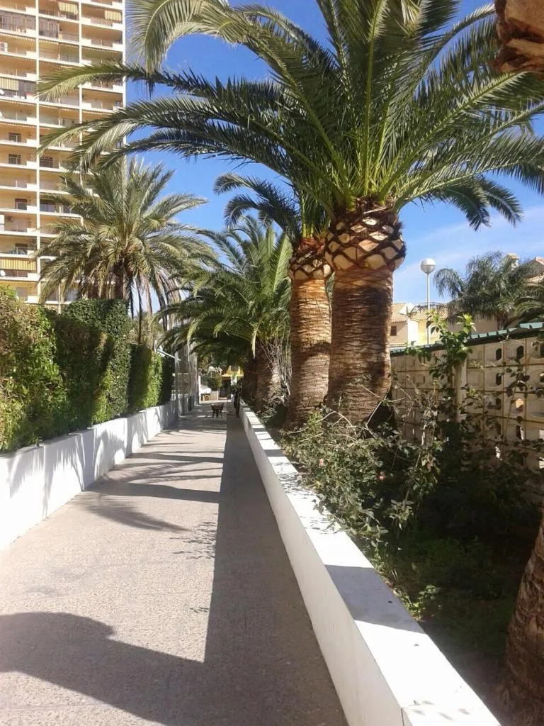 Imagen 6 de Apartamento PuigVal