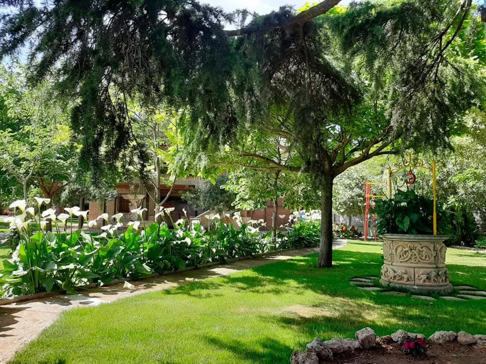 Imagen 4 de VILLA AFRICA