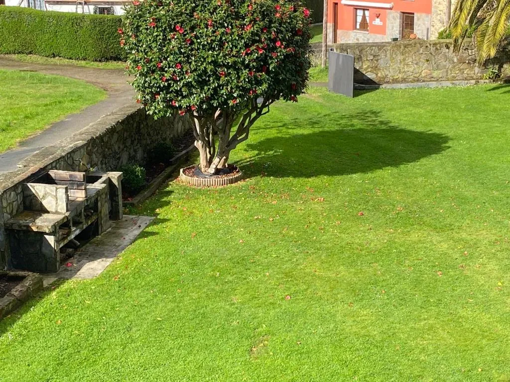 Imagen 8 de Mar y Montaña - casa completa finca privada