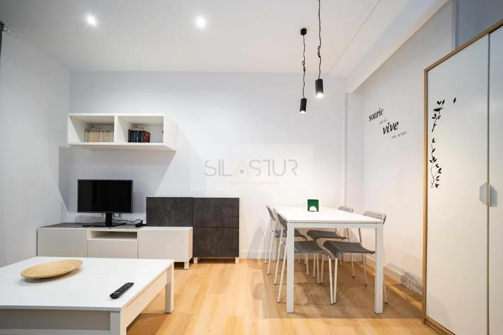 Imagen 5 de Asturches Apartamento