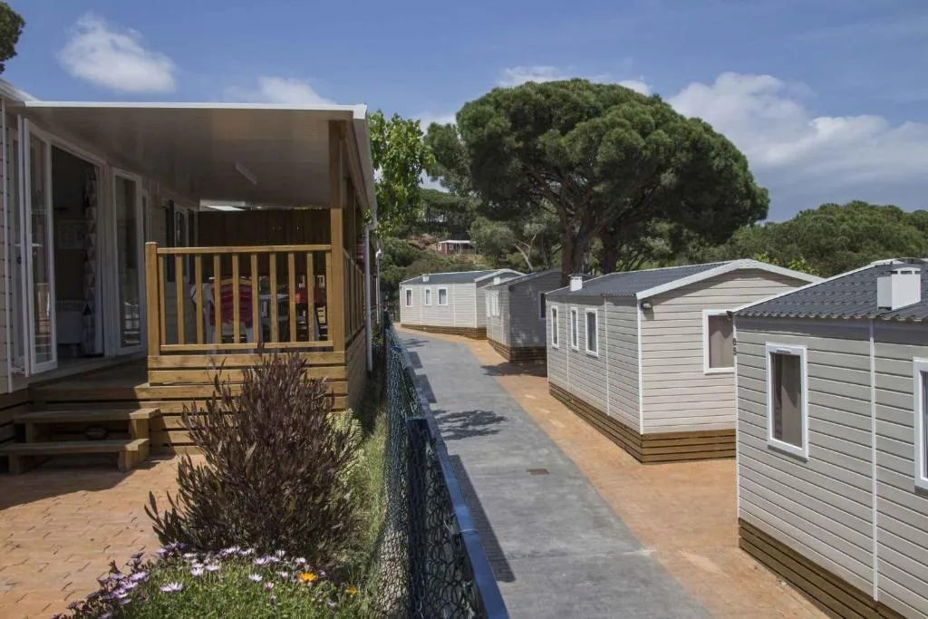 Imagen 7 de Holiday home in Calella de la Costa 3641