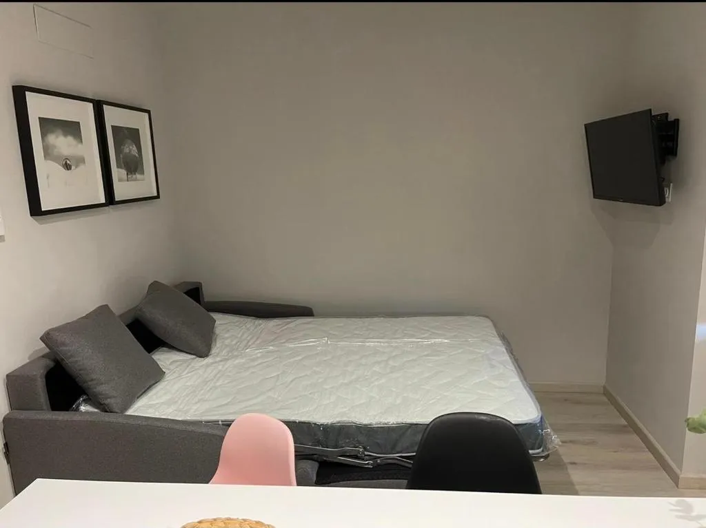 Imagen 4 de Apartamento Puertas del Orbigo 1