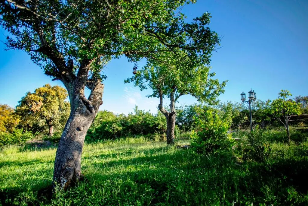 Imagen 5 de Rural Médulas Viviendas de uso turistico 1 y 2 y Casas rurales 3 y 4