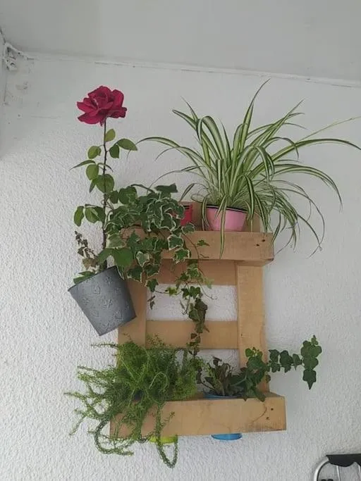 Imagen 7 de Etxalo, apartamento con terraza en Gorliz