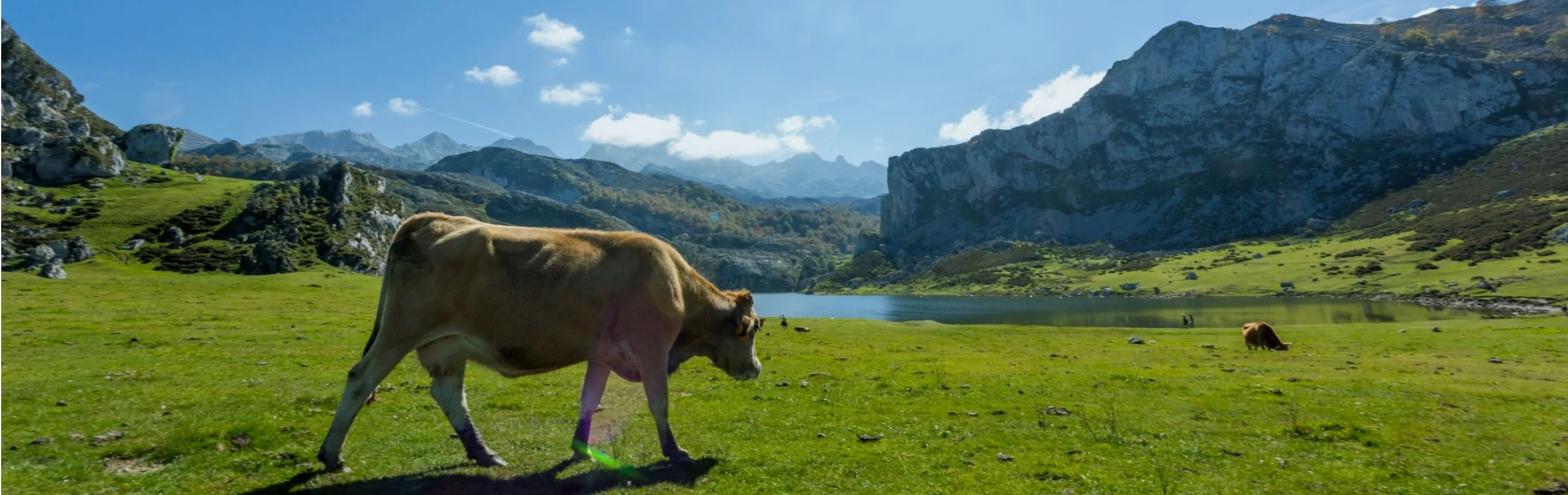 Imagen de Picos de europa