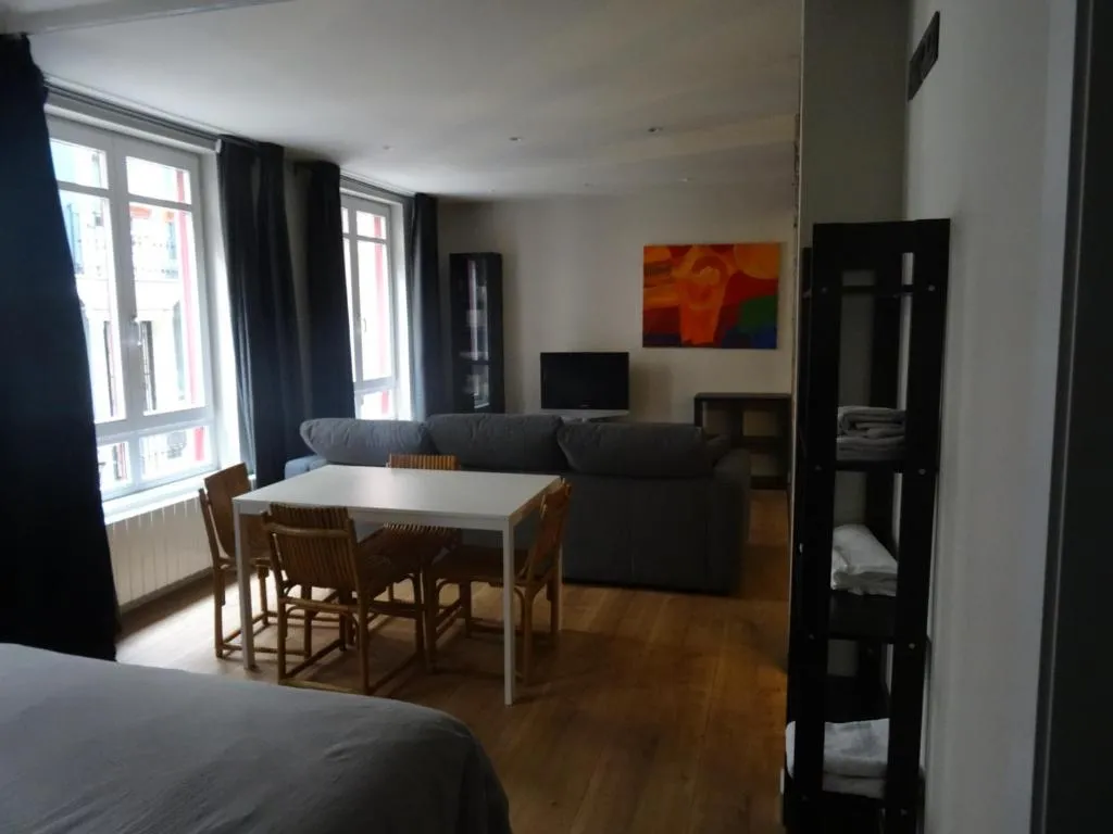 Imagen 5 de Loft 7calles, Casco Viejo. Bio