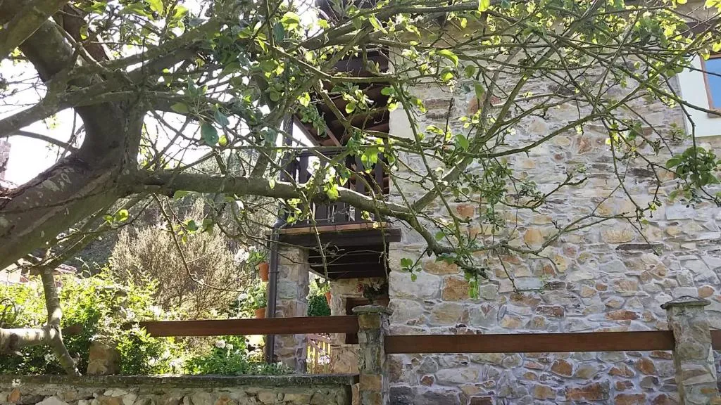 Imagen 8 de La Casina de Abo