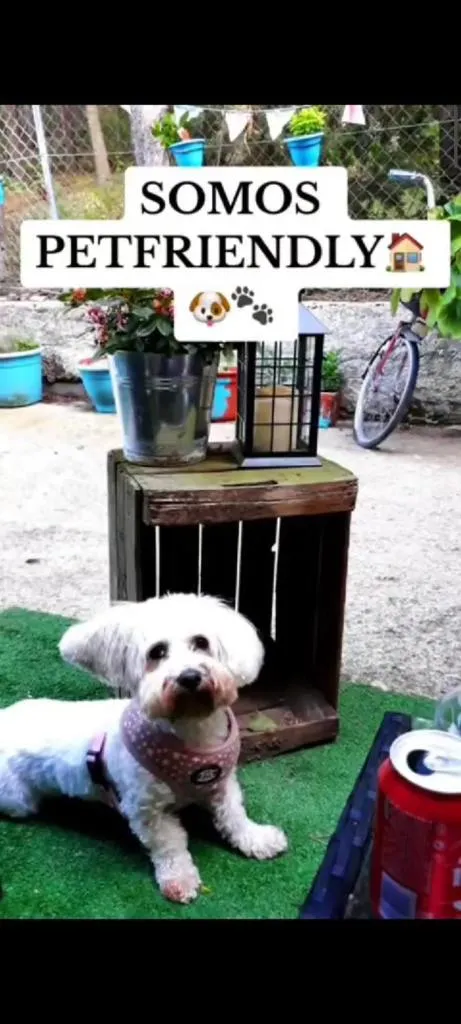 Imagen 1 de CASITA LUAN