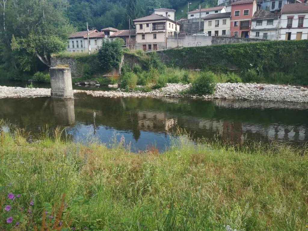 Imagen 7 de Apartamentos rurales el capricho de carrio