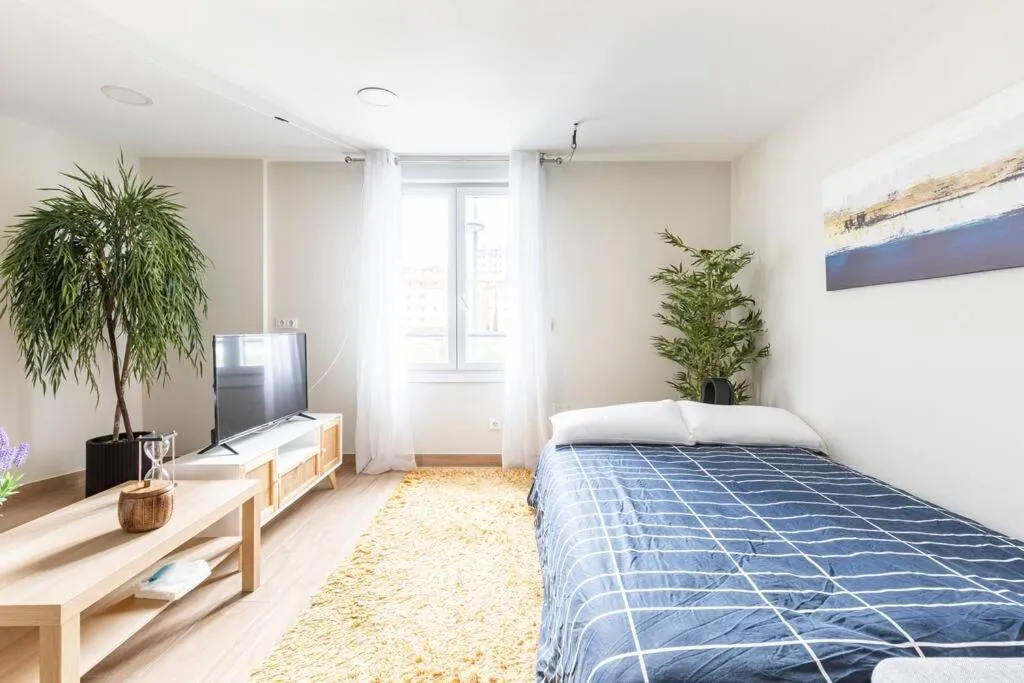 Imagen 4 de El Toison 21 Parking Gratis-6 Pax Centro-Historico