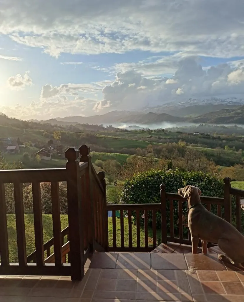 Imagen de La Casa de Nuria