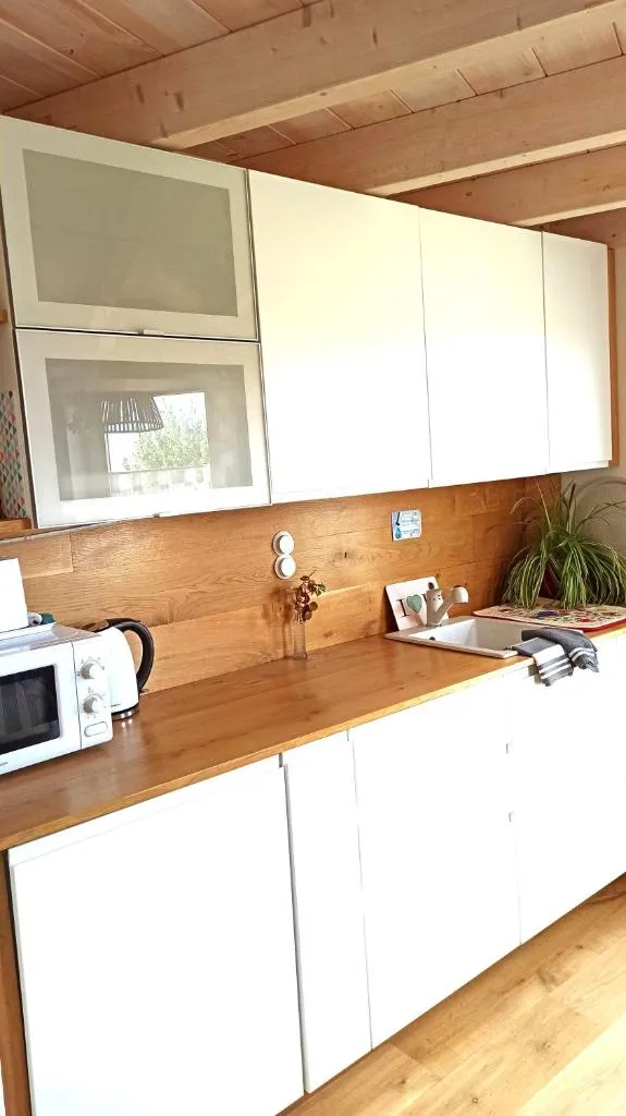 Imagen 6 de Artizar Gunea yurta con jardín