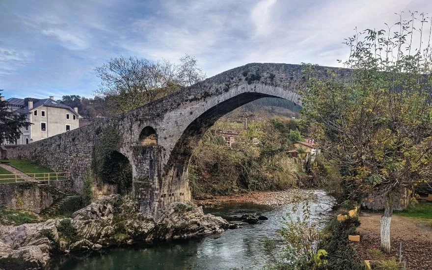 Viajar con perros a Cangas de Onis