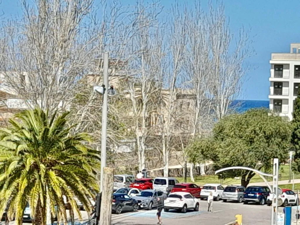 Imagen 5 de Sol Port Soller