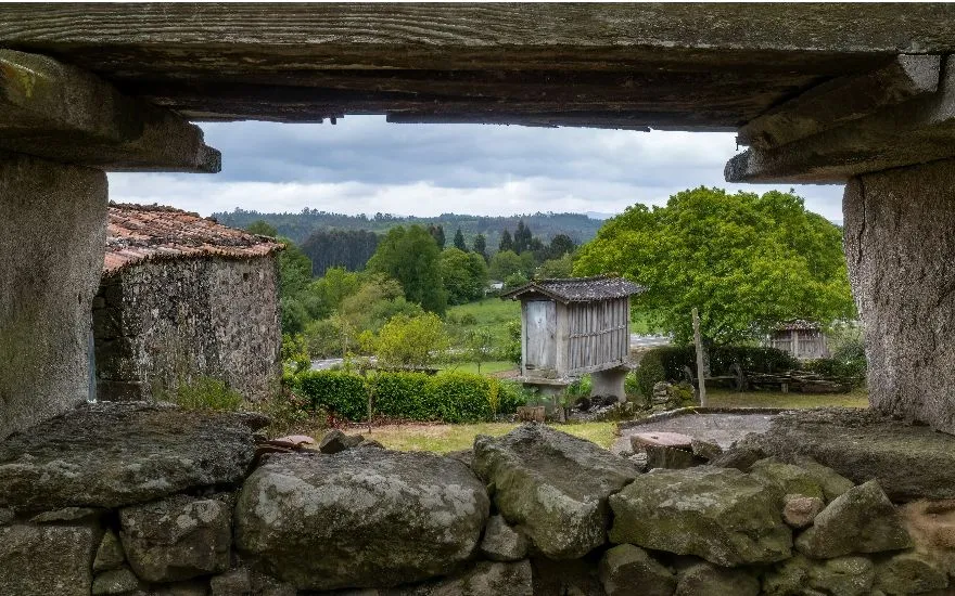 Viajar con perros a Lugo