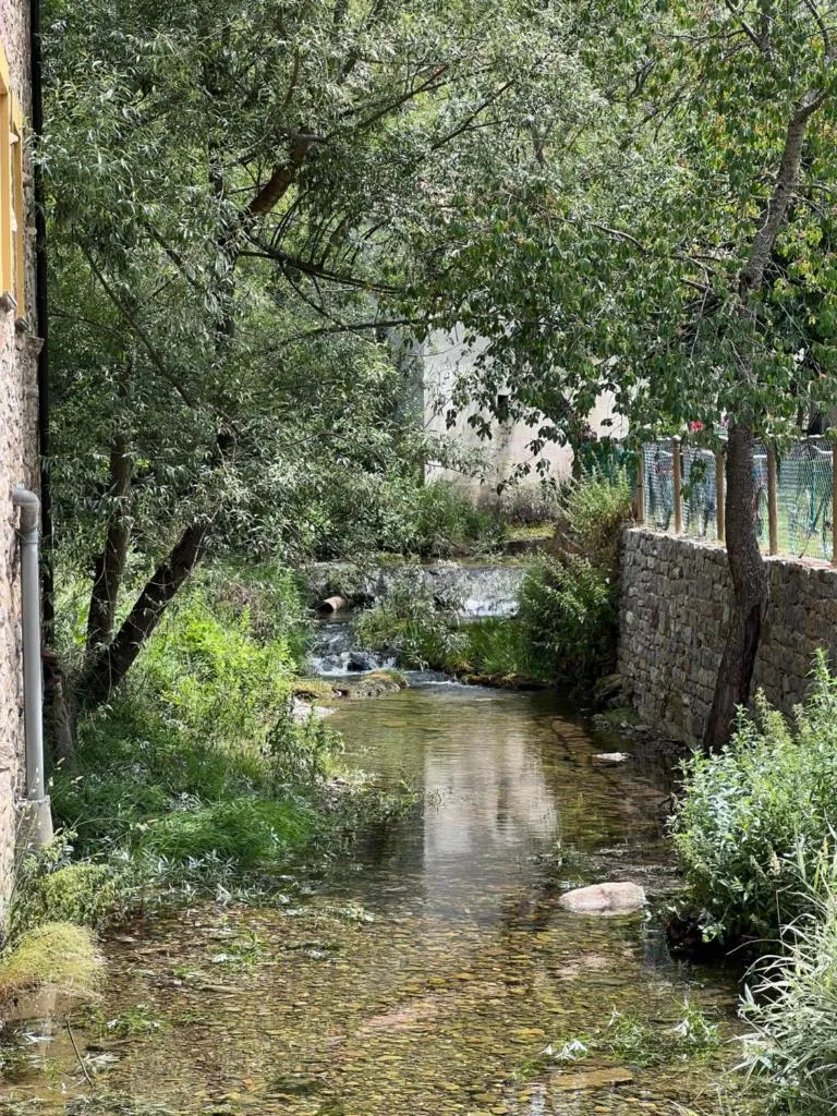 Imagen 8 de La Casina Del Rio