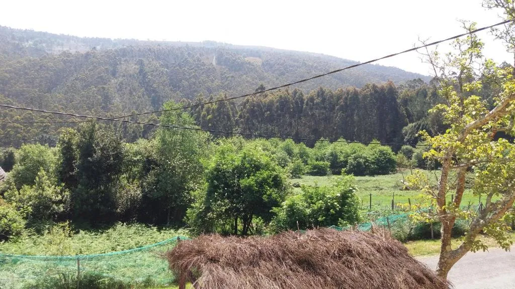 Imagen 8 de Casa Polo