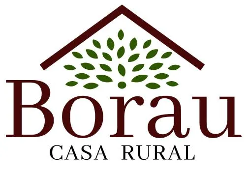 Casa Rural Borau