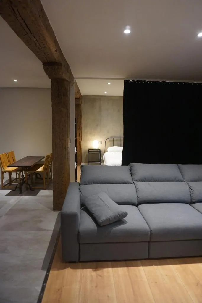 Imagen 2 de Loft 7calles, Casco Viejo. Bio