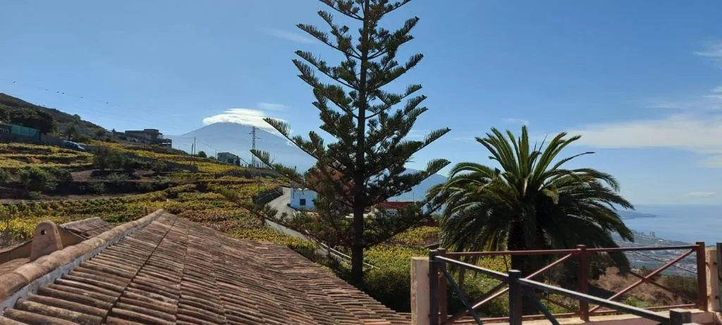 Imagen de Casa Canarina